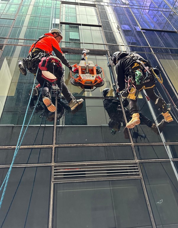 Glass Replacement